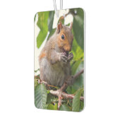 Cute Cherry schopend oostelijke grijze eekhoorn Luchtverfrisser (Links)