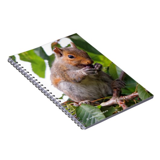 Cute Cherry schopend oostelijke grijze eekhoorn Notitieboek (Rechterzijde)