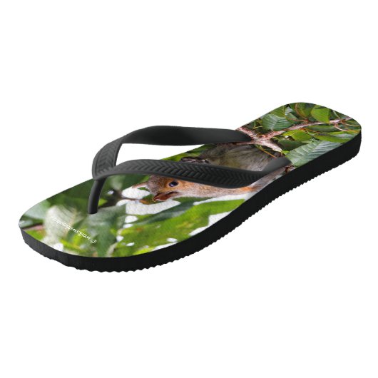 Cute Cherry schopend oostelijke grijze eekhoorn Teenslippers (Schuin)