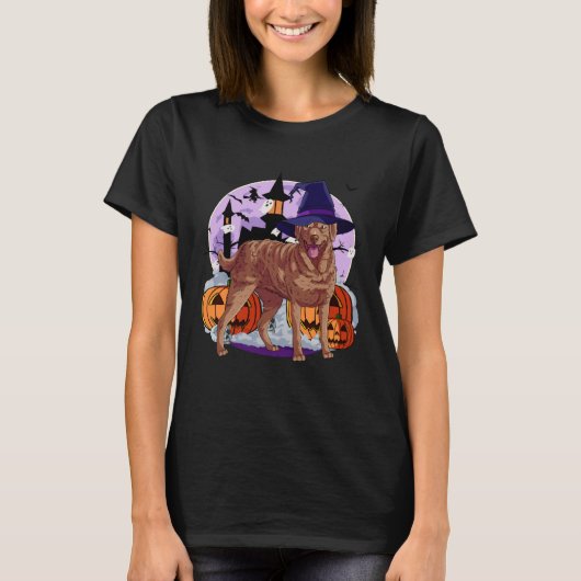 Cute Chesapeake Bay Retriever Halloween Witch Pump T-shirt (Voorkant)