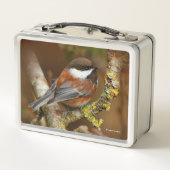 Cute Chestnut Backed Chickadee Songbird (Achterkant)