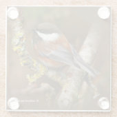Cute Chestnut Backed Chickadee Songbird in Tree Glazen Onderzetter (Achterkant)