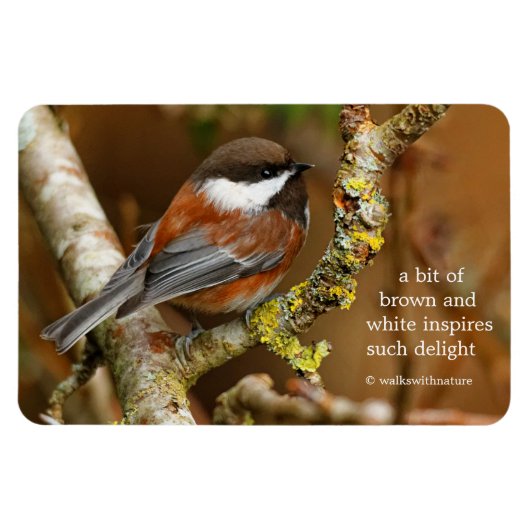 Cute Chestnut Backed Chickadee Songbird in Tree Magneet (Horizontaal)