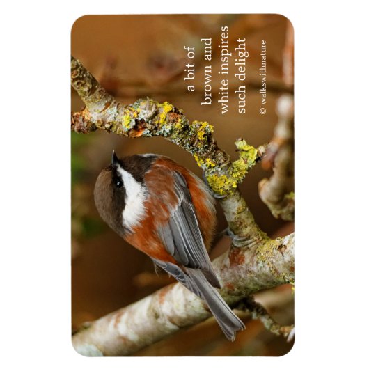 Cute Chestnut Backed Chickadee Songbird in Tree Magneet (Verticaal)