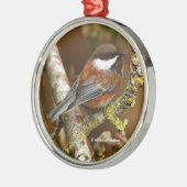 Cute Chestnut Backed Chickadee Songbird in Tree Metalen Ornament (Links)