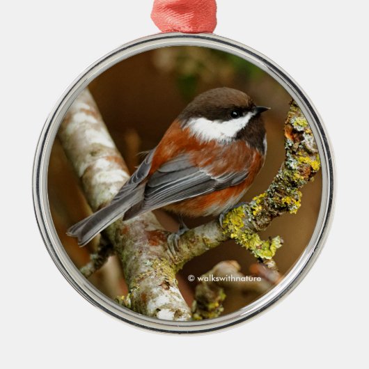 Cute Chestnut Backed Chickadee Songbird in Tree Metalen Ornament (Voorkant)