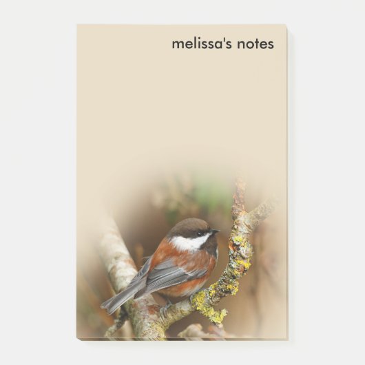 Cute Chestnut Backed Chickadee Songbird in Tree Post-it® Notes (Voorkant)
