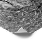 Cute Chick, 1937 Poster (Hoek)