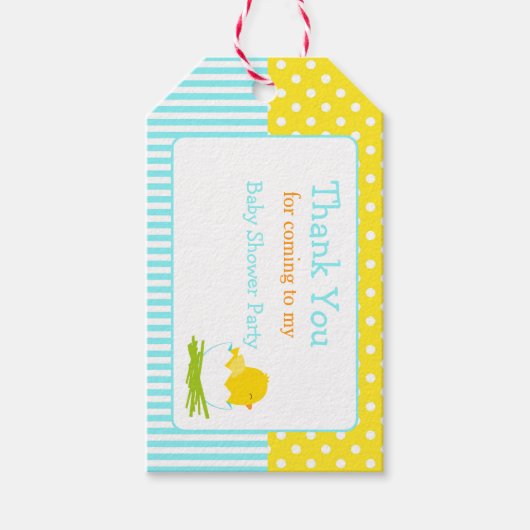 Cute Chick Blue Boy Bedankt Label Cadeaulabel (Voorkant)