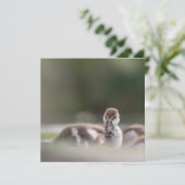 Cute Chick Natuur Photo Card (Staand voorkant)