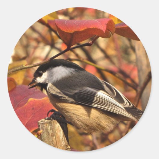 Cute Chickadee Bird met roze Autumn Leaves Ronde Sticker (Voorkant)