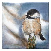Cute Chickadee Bird Schattig Black Capped Foto Afdruk (Voorkant)