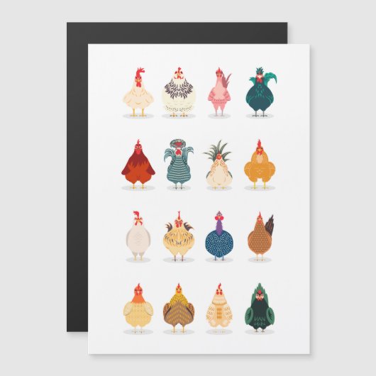 Cute Chicken (Voorkant / Achterkant)