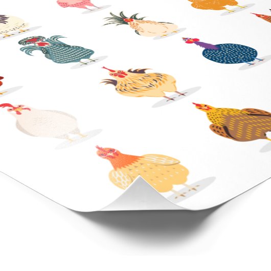 Cute Chicken Foto Afdruk (Hoek)