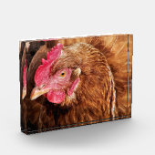 CUTE CHICKEN FOTOBLOKKEN (Links)