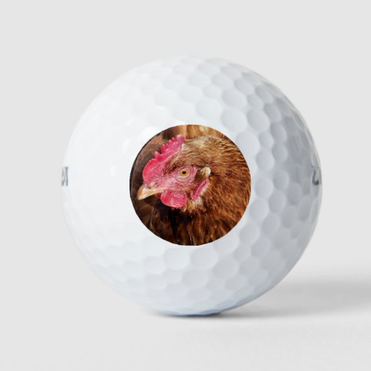 CUTE CHICKEN GOLFBALLEN (Voorkant)