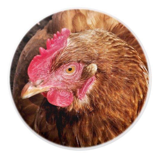CUTE CHICKEN KERAMISCHE KNOP (Voorkant)