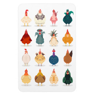 Cute Chicken Magneet