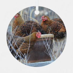 Cute Chicken Ornament