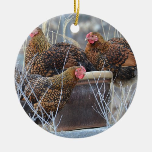 Cute Chicken Ornament (Voorkant)