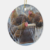 Cute Chicken Ornament (Links)