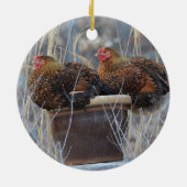 Cute Chicken Ornament (Achterkant)