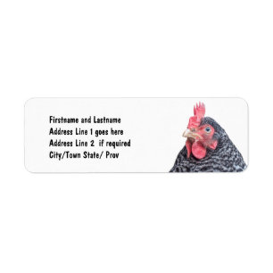 Cute Chicken Photo Gepersonaliseerd Adres Etiket