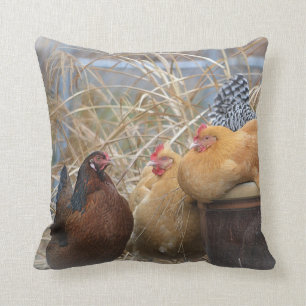 Cute Chicken Pillow Kussen