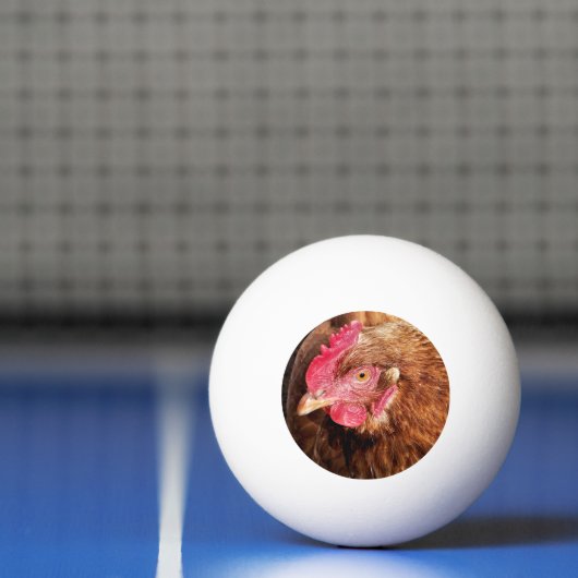 CUTE CHICKEN PINGPONGBAL (Net)