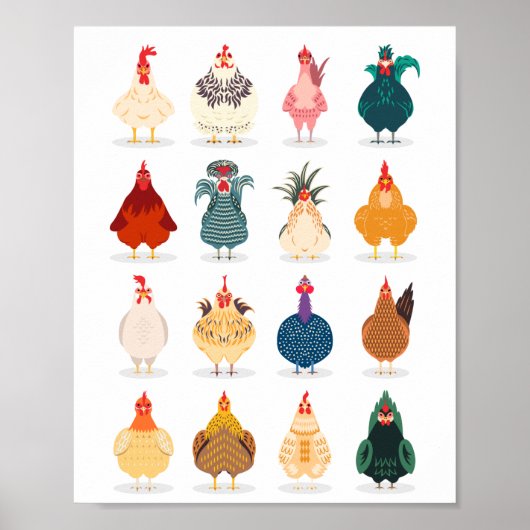 Cute Chicken Poster (Voorkant)