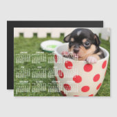 Cute Chihuahua Calendar 2018 Magnetic Kaart 5x7 (Voorkant / Achterkant)