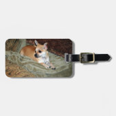 Cute Chihuahua Dog Bagagelabel (Voorkant horizontaal)