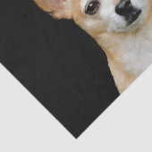 Cute Chihuahua Dog Beige Tan Black Art Portret Tissuepapier (Detail)