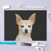 Cute Chihuahua Dog Beige Tan Black Art Portret Tissuepapier (Craft)