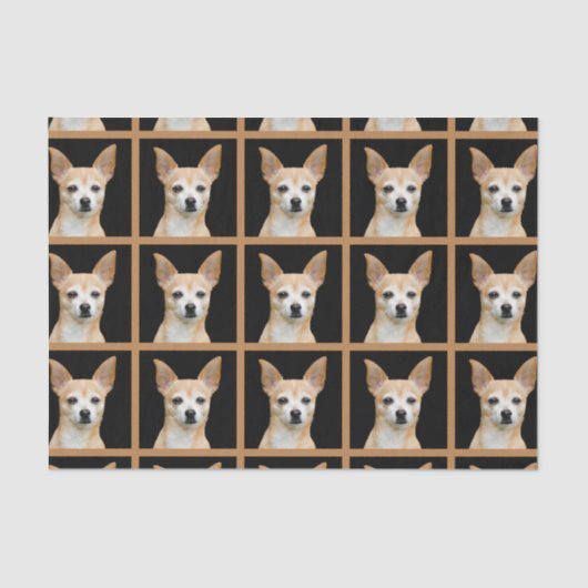 Cute Chihuahua Dog Black Tan Pattern-ontwerp Tissuepapier (Voorkant)