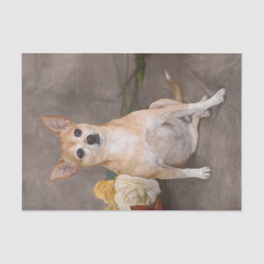 Cute Chihuahua Dog Floral Art Pet Portret Tissuepapier (Voorkant)