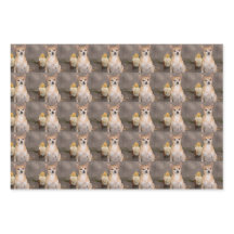 Cute Chihuahua Dog Floral Pet Portrait Patroon