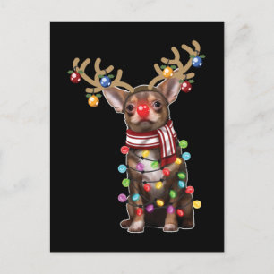 Cute Chihuahua Dog Funny Kerstfeestdag Gifts Briefkaart
