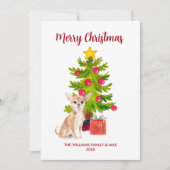 Cute Chihuahua Dog Kerstmis Feestdagenkaart (Voorkant)