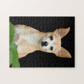 Cute Chihuahua Dog Tan Black Art Pet Portret Legpuzzel (Horizontaal)