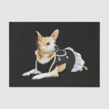 Cute Chihuahua Dog Tan Brown Black Elegant