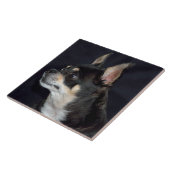Cute Chihuahua Dog Tegeltje (Zijkant)