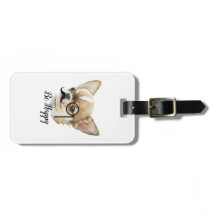 Cute Chihuahua Hondenliefhebber