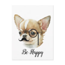 Cute Chihuahua Hondenliefhebber