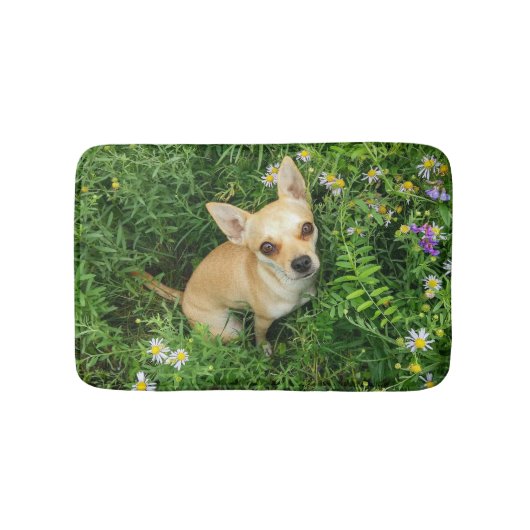 Cute Chihuahua in Grass Meadow Badmat (Voorkant)