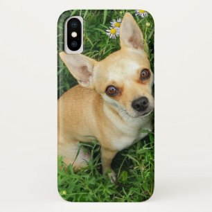 Cute Chihuahua in Grass Meadow Case-Mate iPhone Case
