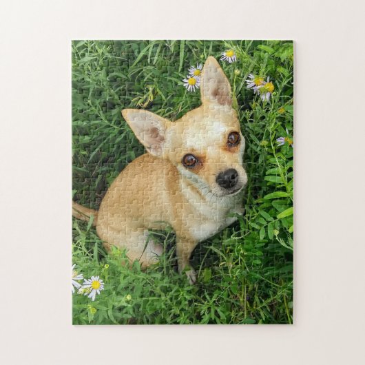 Cute Chihuahua in Grass Meadow Legpuzzel (Verticaal)