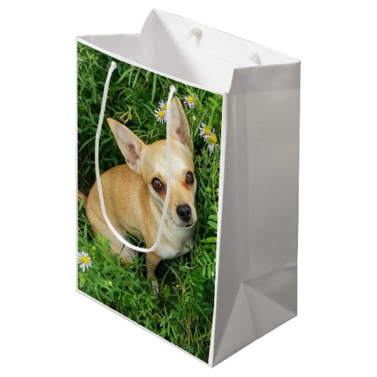 Cute Chihuahua in Grass Meadow Medium Cadeauzakje (Voorkant Gekanteld)