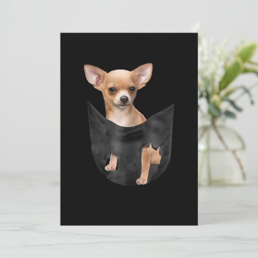 Cute Chihuahua in uw zakkerst Aankondiging (Staand voorkant)