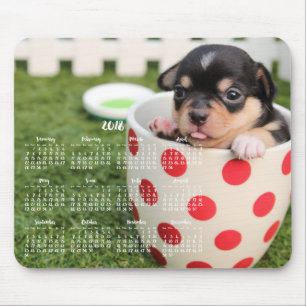 Cute Chihuahua-kalender 2018 Muismat